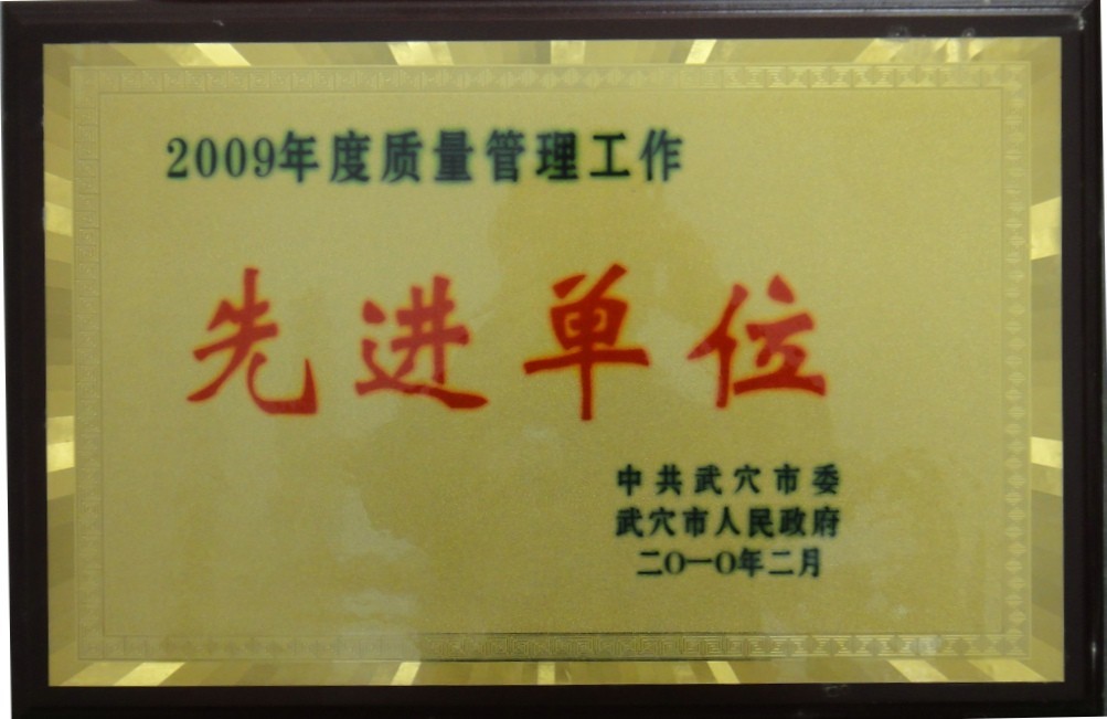 2009年度質(zhì)量管理工作先進(jìn)單位(黃岡亞東) 2009年度質(zhì)量管理工作先進(jìn)單位(黃岡亞東)