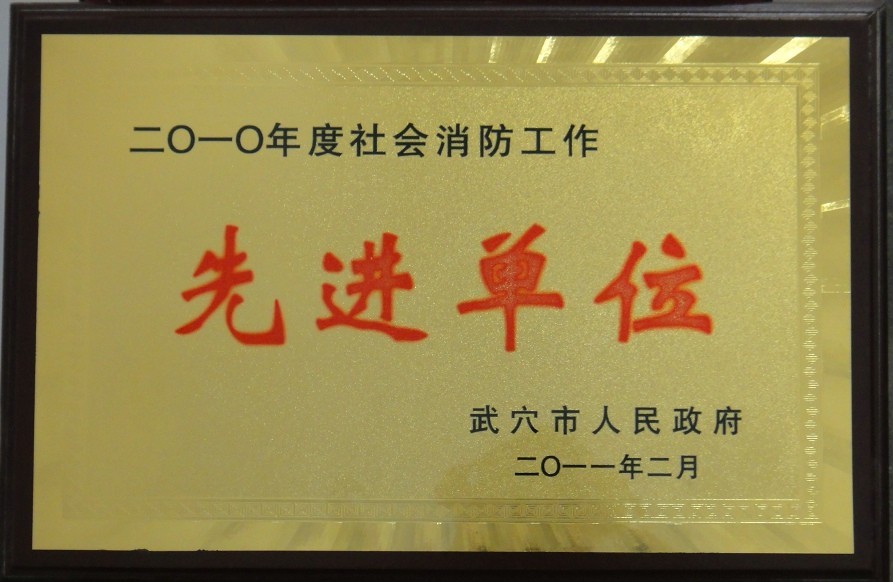 2010年度社會消防工作先進單位(黃岡亞東) 2010年度社會消防工作先進單位(黃岡亞東)