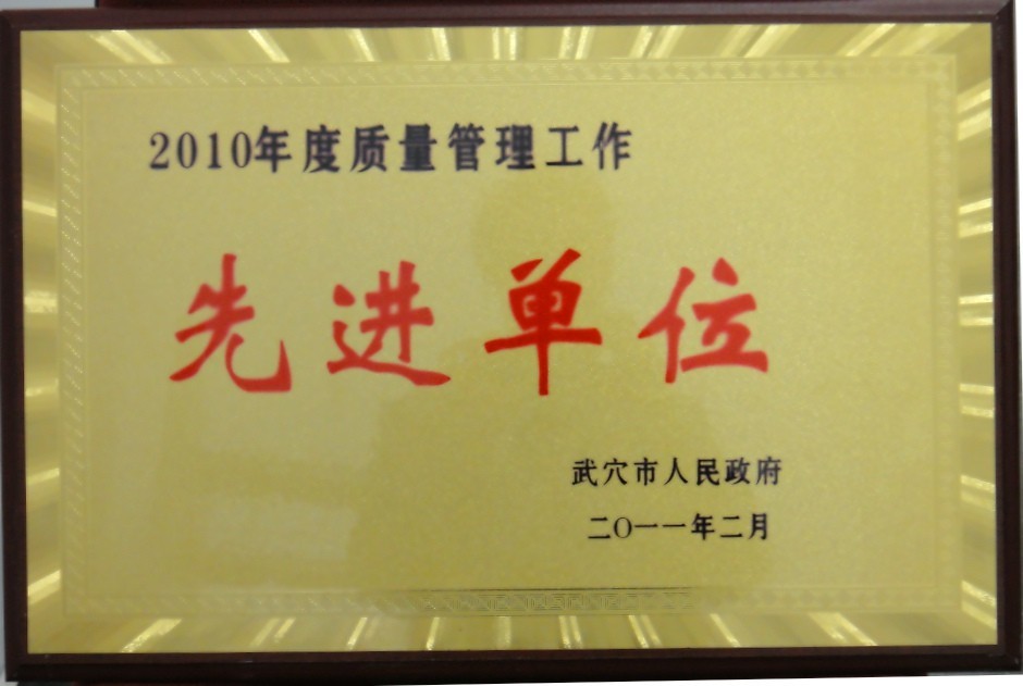 2010年度質(zhì)量管理工作先進單位(黃岡亞東) 2010年度質(zhì)量管理工作先進單位(黃岡亞東)
